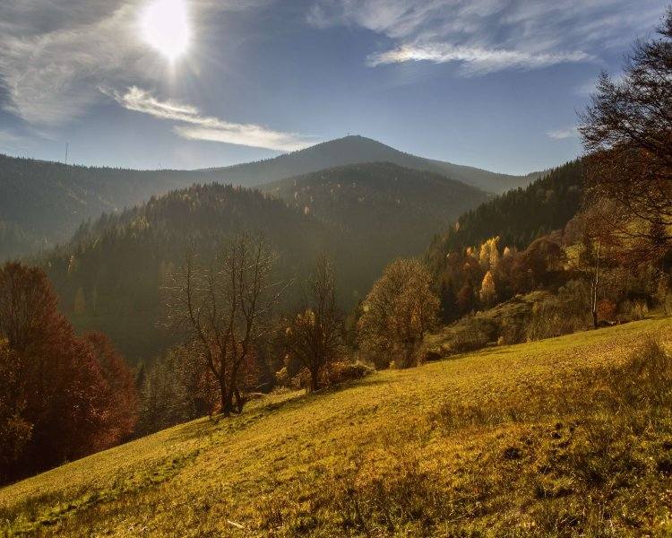 agentie de turism online, 9, cistour.ro